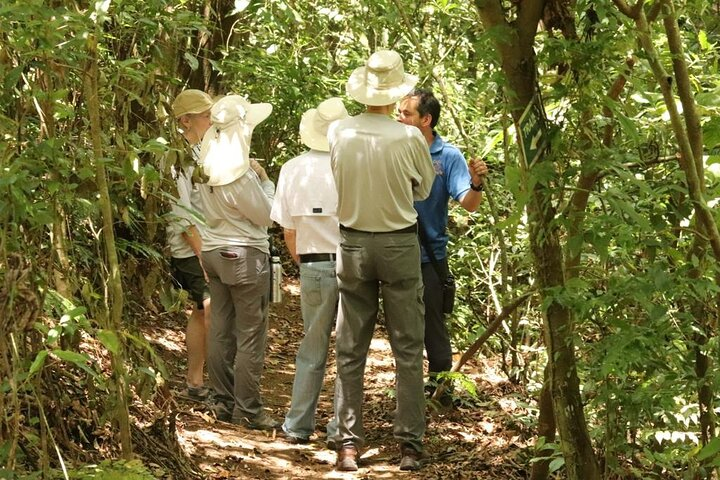 Experience Coffee and Sugar Cane Process in the Forest - Photo 1 of 11